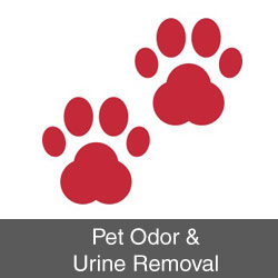 Pet Odor & Urine Removal